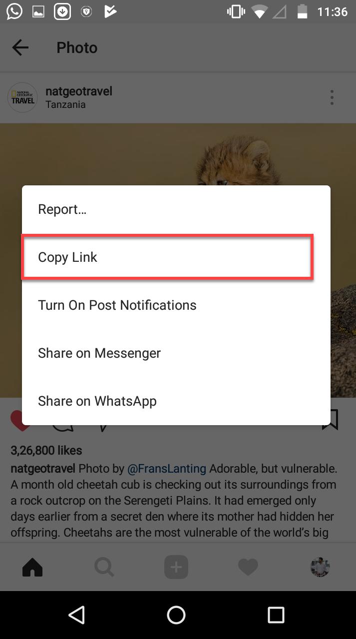 How-to-Download-Instagram-Photos