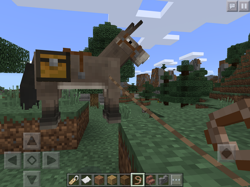 minecraft-horses-14