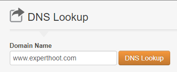 how to check DNS of website