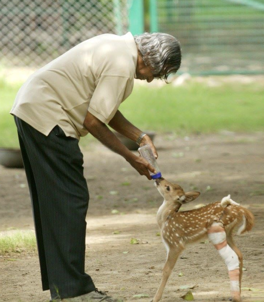 APJ Abdul Kalam