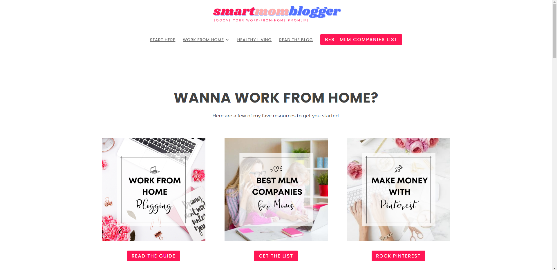 Smart Mom Blogger Blog Review