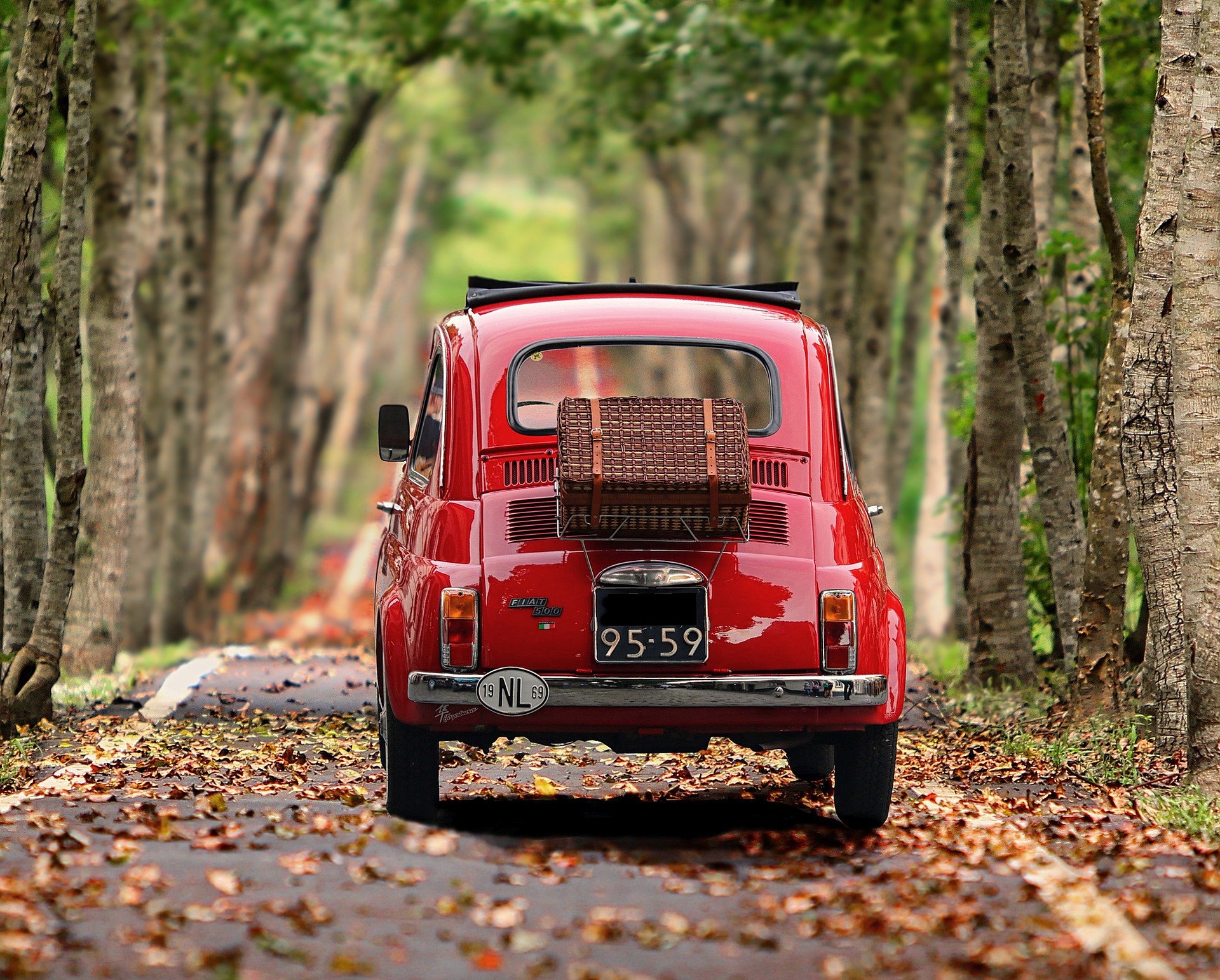 Move Into Your Car Move Into Your Car