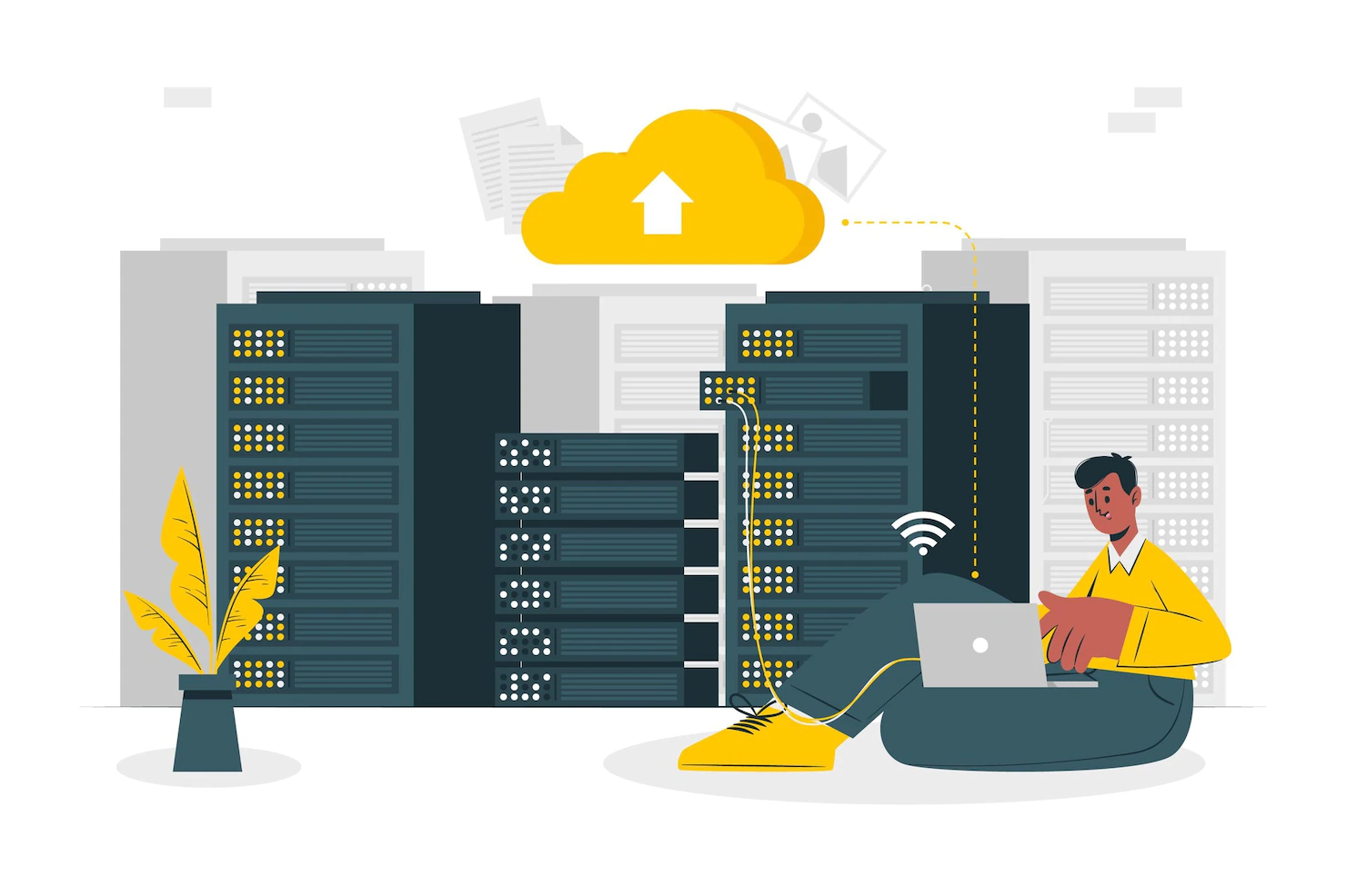 Website Hosting